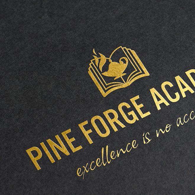 pineforge_portfolio-logo